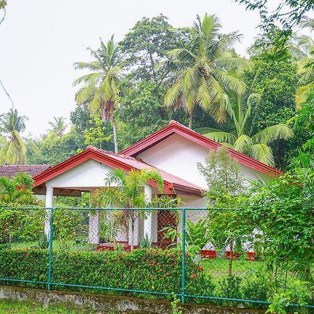 Villa Ravichini Polonnaruwa Exterior foto