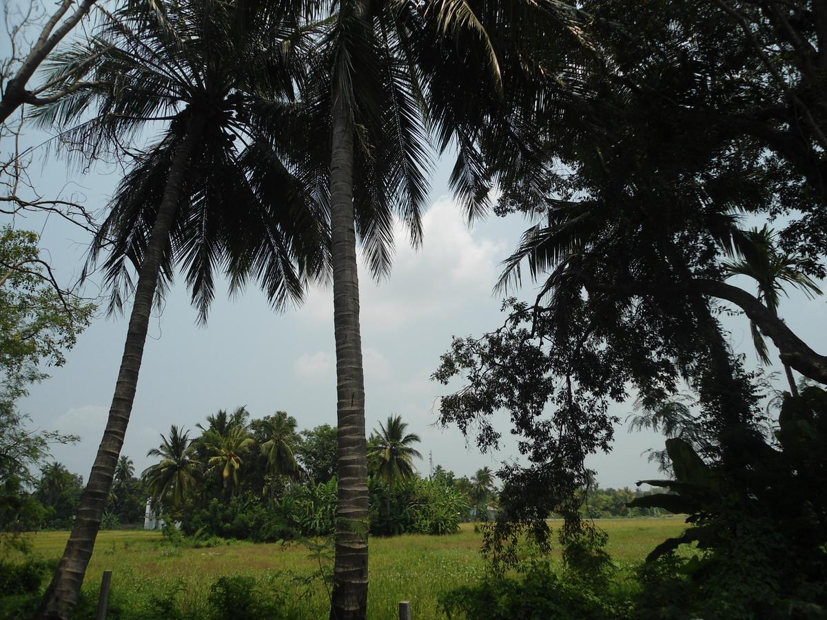 Villa Ravichini Polonnaruwa Exterior foto