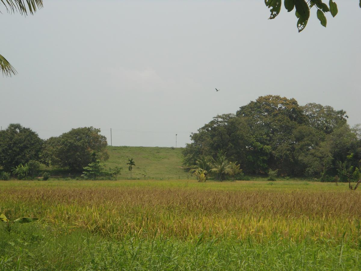 Villa Ravichini Polonnaruwa Exterior foto